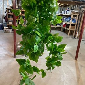 2 bundles of fake greenery leaves